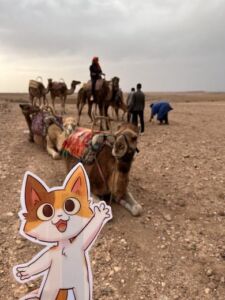 Morocco Vacation with Kids