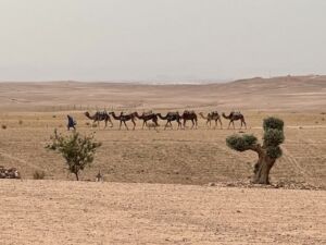 Morocco Vacation with Kids