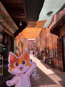 Morocco Vacation with Kids