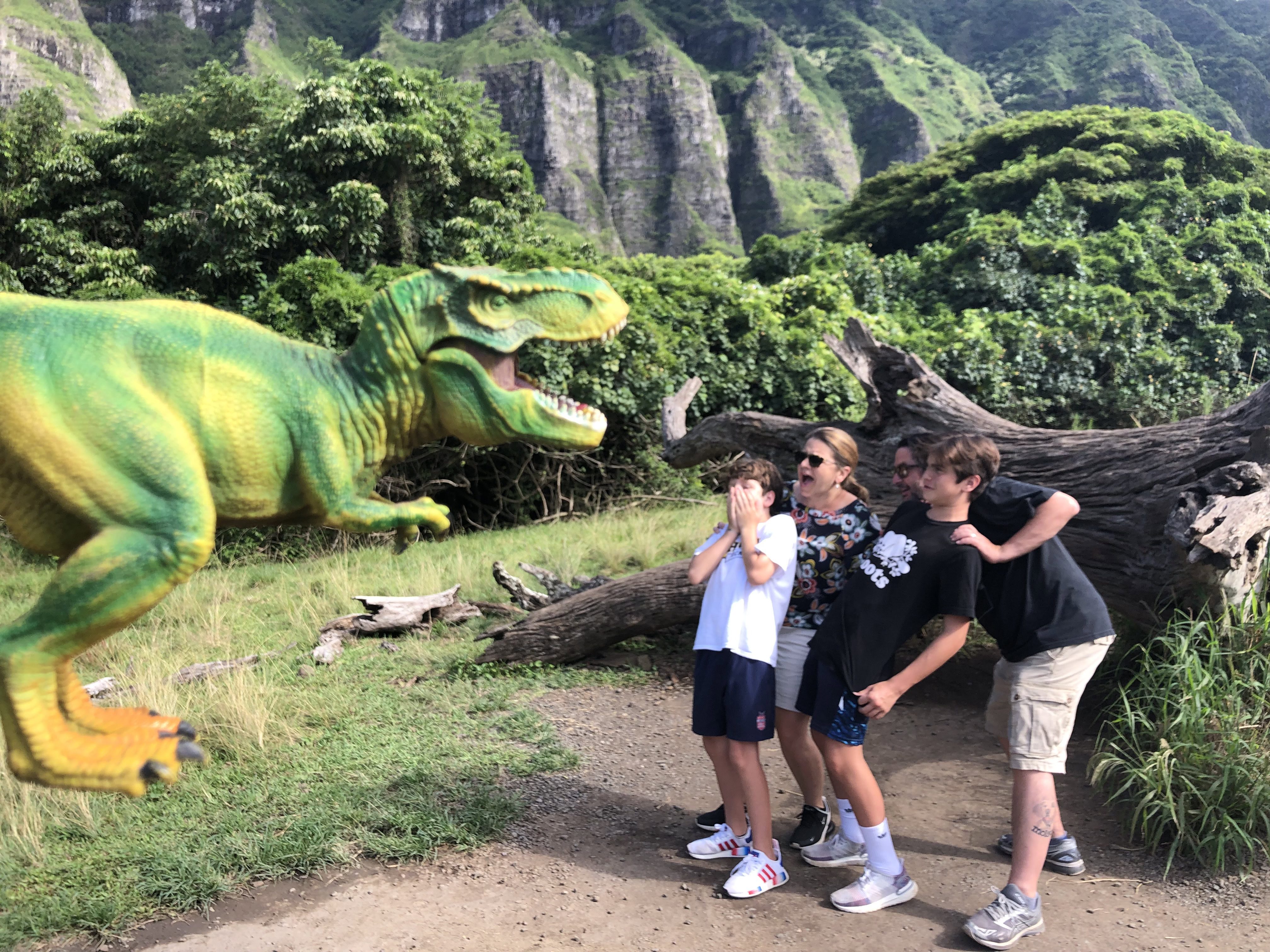 Hawaii family vacation