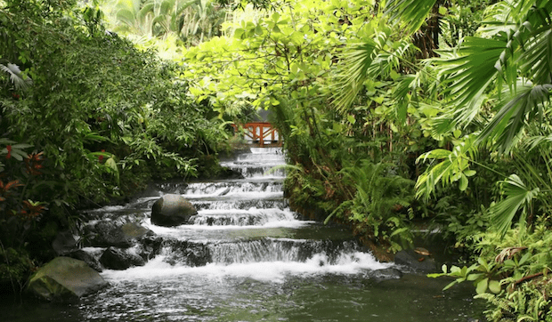 Costa Rica Family Vacation