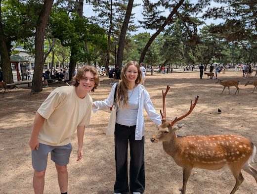 Nara Sacred Deer