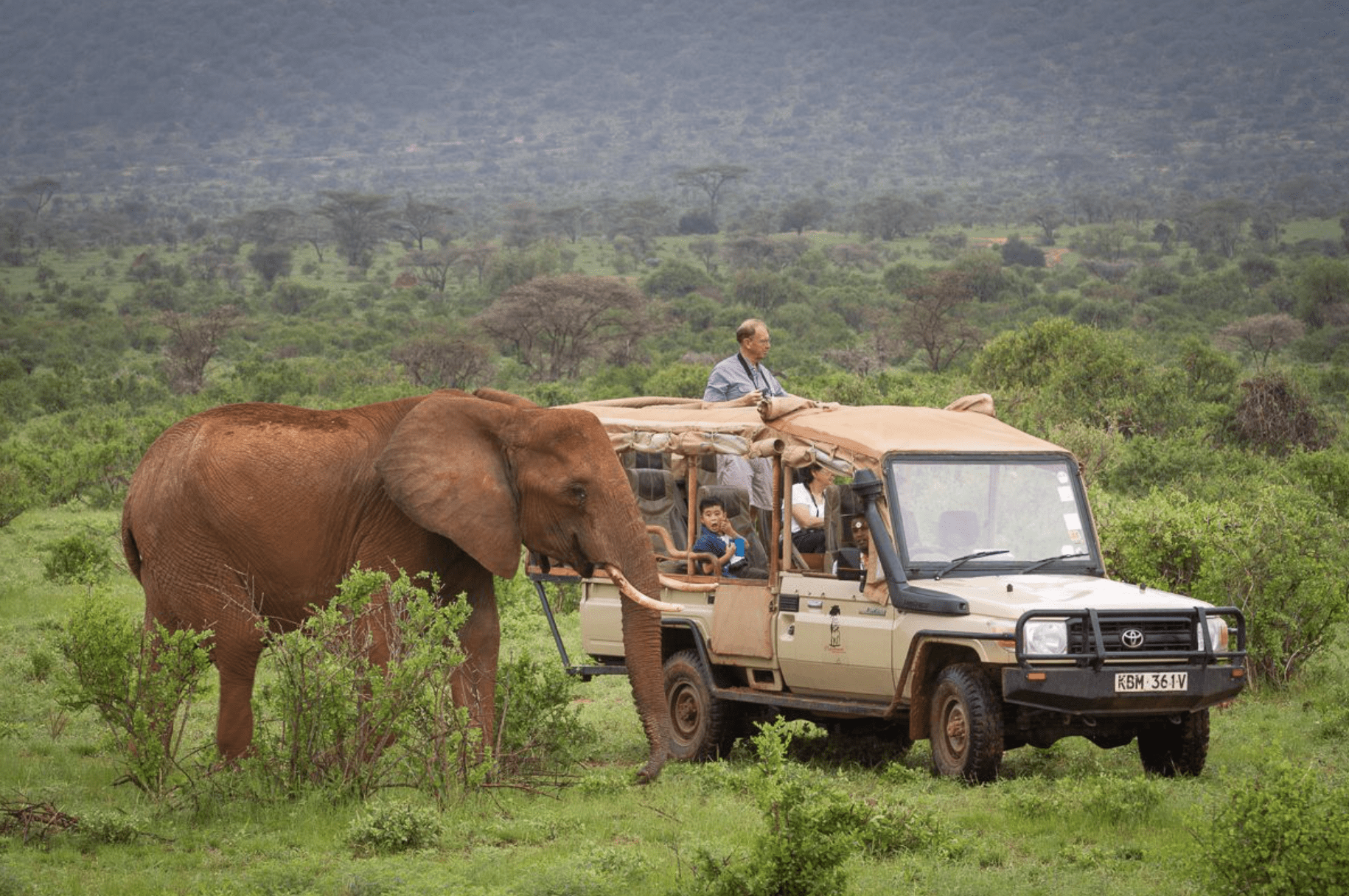 Kenya Safari
