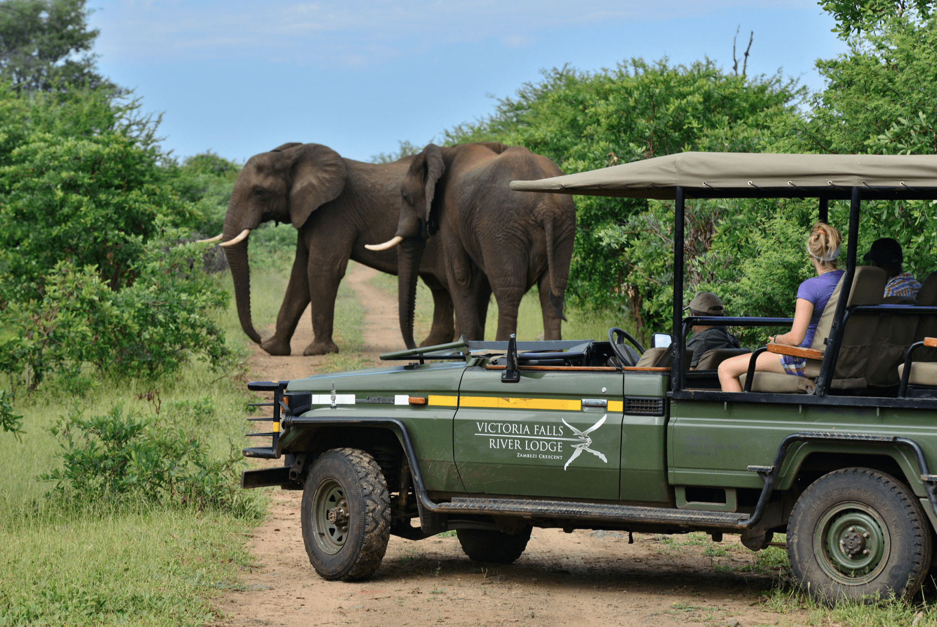 Victoria Falls River Lodge Safari