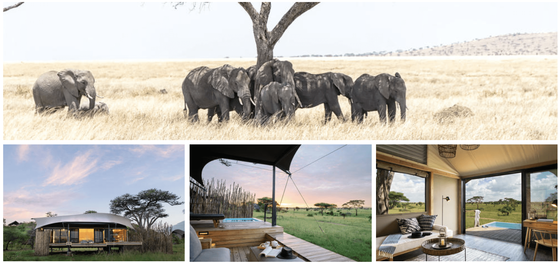 Lemala Camps and Lodges Tanzania Africa