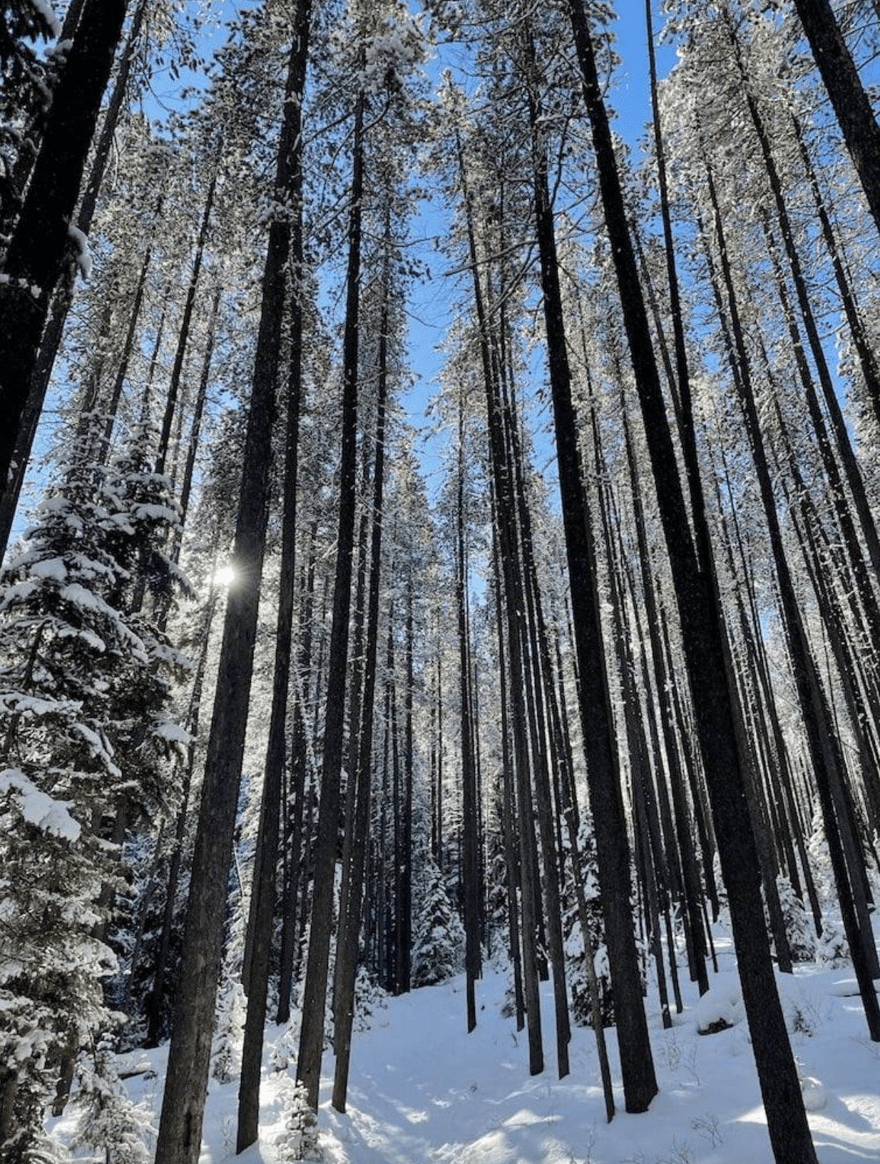 Visiting National Parks